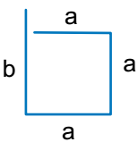 Doubled square Shape